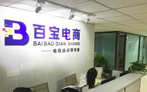 成都百寶教育咨詢 專業(yè)引領(lǐng)，成就未來(lái)教育之路