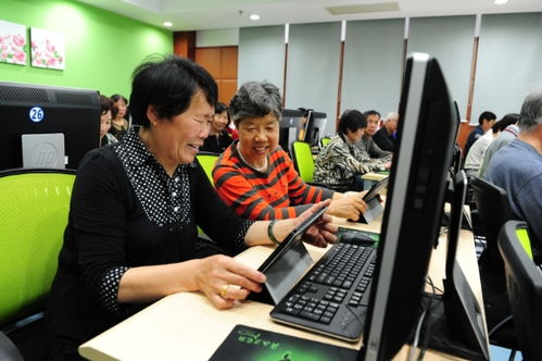聚焦五大功能，賈煒為上海學(xué)習(xí)型城市建設(shè)注入高質(zhì)量教育咨詢服務(wù)新動(dòng)能
